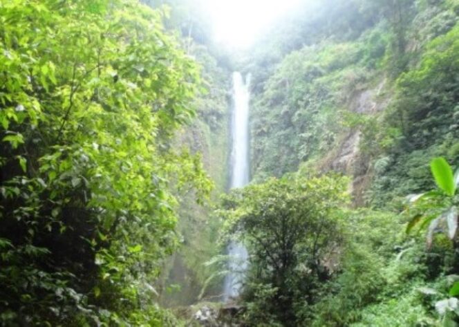 
					Coban Glotak, salah satu potensi wisata di Kabupaten Malang/Dokj. Malangkab/Industriindonesia.id